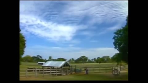 Pantanal 1990 Capítulo 71 (Rede Manchete)