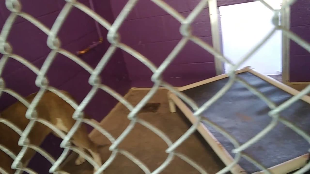 20180608_171144