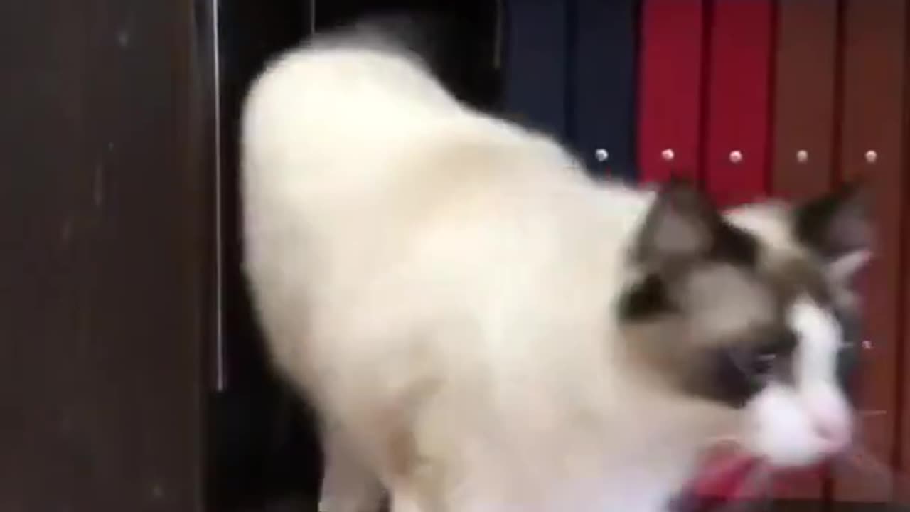 The secret meeting is over