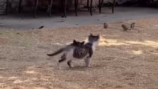 Thank you for helping!