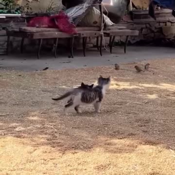 Thank you for helping!