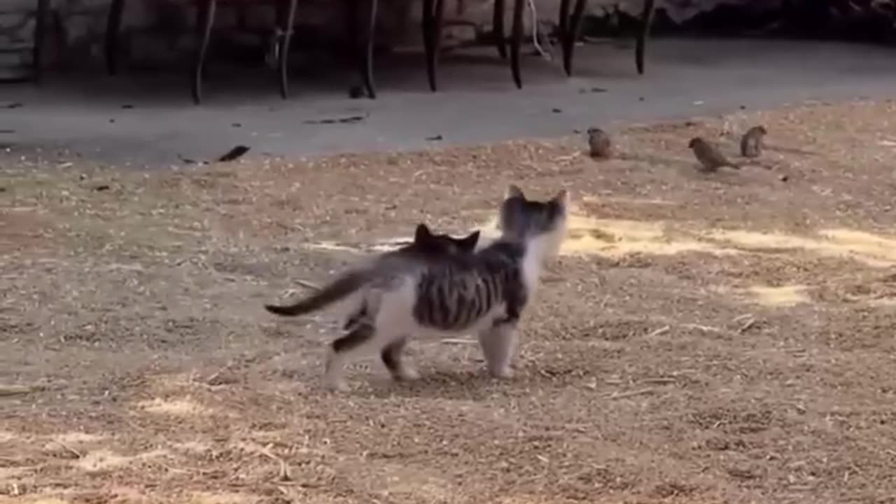 Thank you for helping!