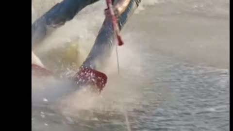 Waterskier Gets Smacked by Fish: You Won't Believe This!