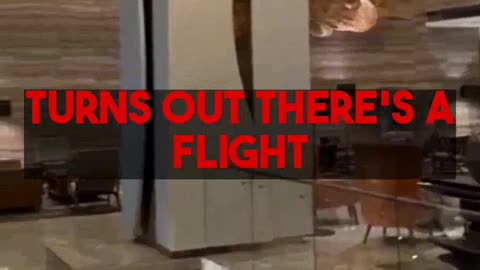 Mighty Travels Premium Pro Tips: Unlock Business Class & 5-Star Hotels!