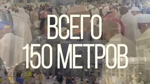 И зайцы не едут в УМРУ!А ТЫ!? Хадж и умра. #шортс #тикток #топ #милость #напоминание