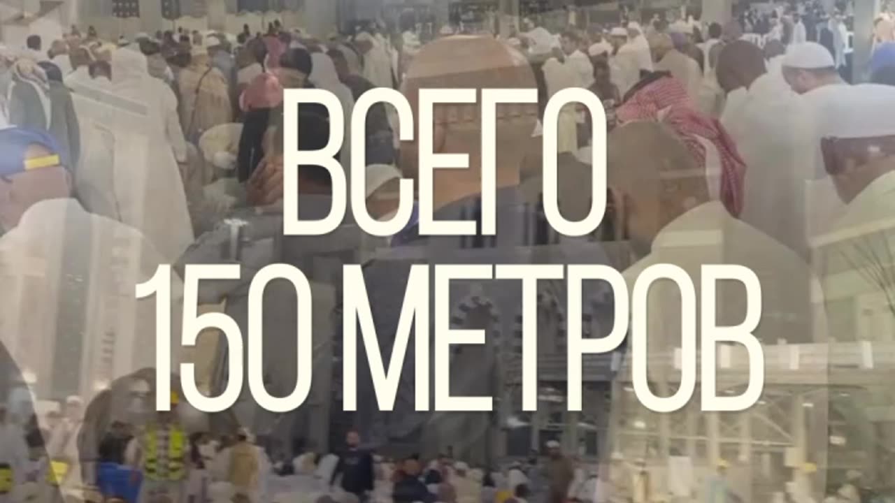И зайцы не едут в УМРУ!А ТЫ!? Хадж и умра. #шортс #тикток #топ #милость #напоминание