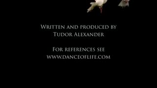 Christian Zionists BEWARE! Why the Jews Are Not God's Chosen People (2024)