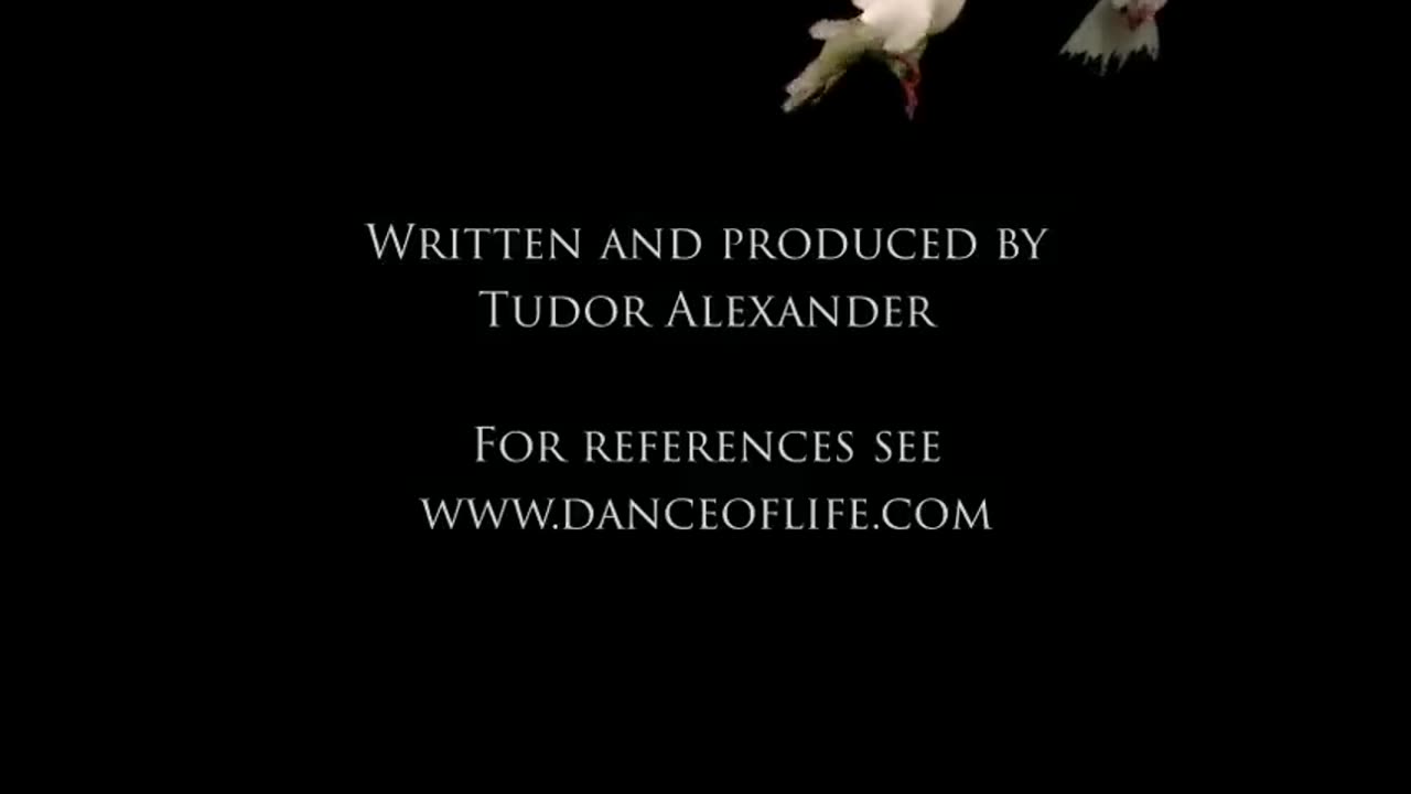 Christian Zionists BEWARE! Why the Jews Are Not God's Chosen People (2024)