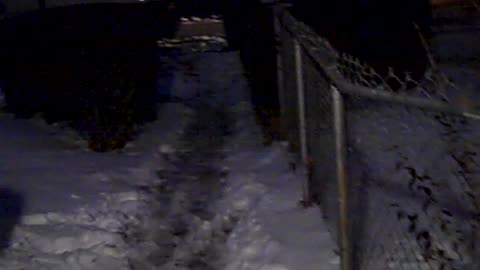 Every thang going on, THE SHEA SHOW