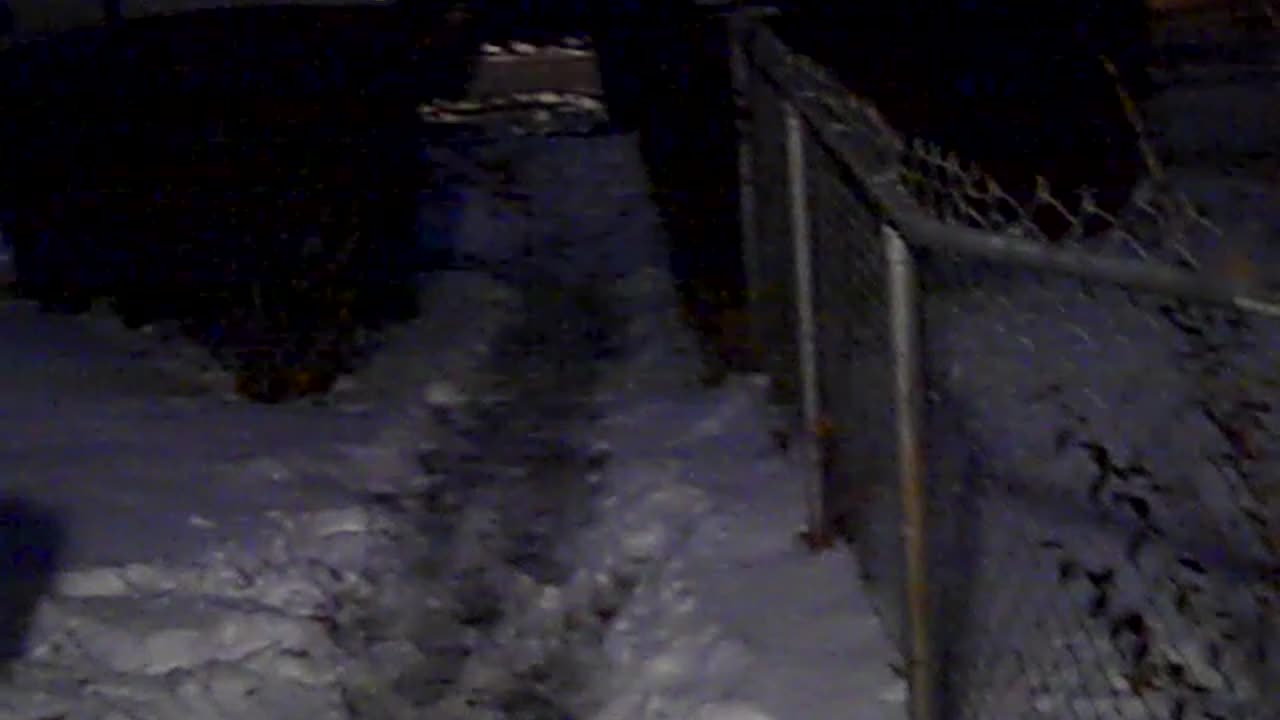 Every thang going on, THE SHEA SHOW