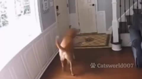 watch till the end