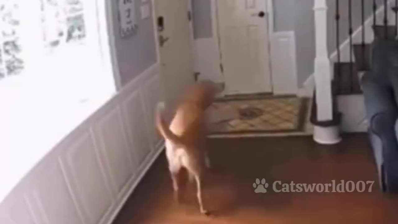 watch till the end
