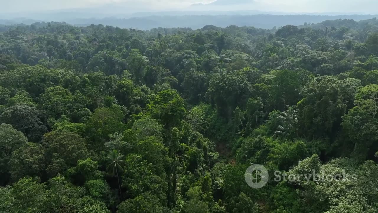 Must-Visit Spots in Indonesia