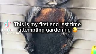 🌱🌳 Oh No! The Garden Getaway Gone Wrong! | FunFM