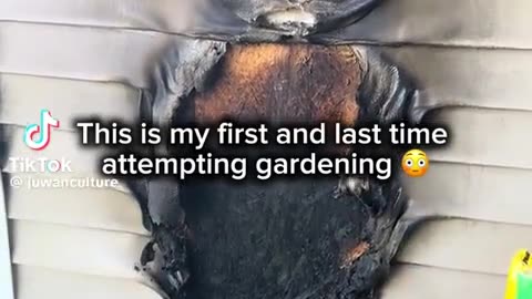 🌱🌳 Oh No! The Garden Getaway Gone Wrong! | FunFM