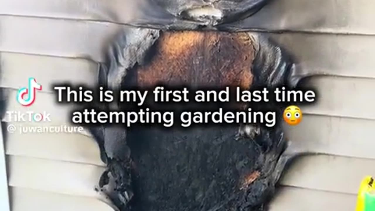 🌱🌳 Oh No! The Garden Getaway Gone Wrong! | FunFM