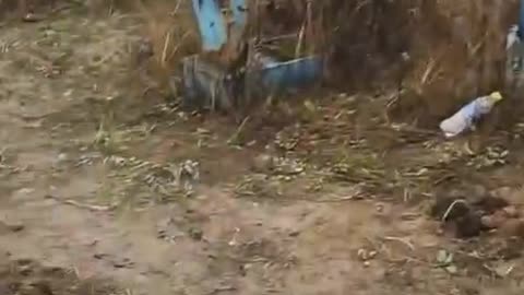 ☠️🐷37633 Good morning, mi z suikudutpt.