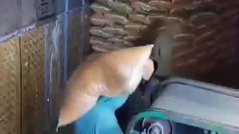 funny video most funny video in the world | funny videos | crazy clips