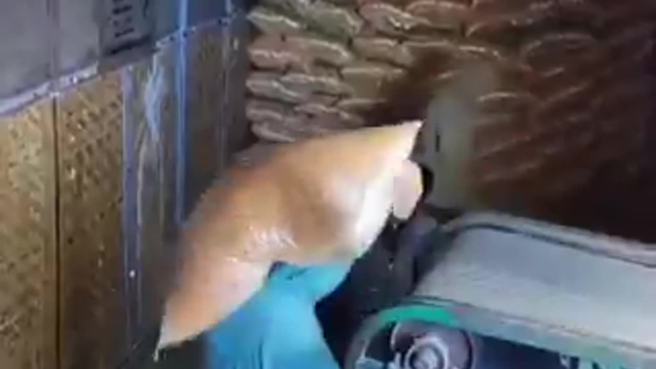 funny video most funny video in the world | funny videos | crazy clips