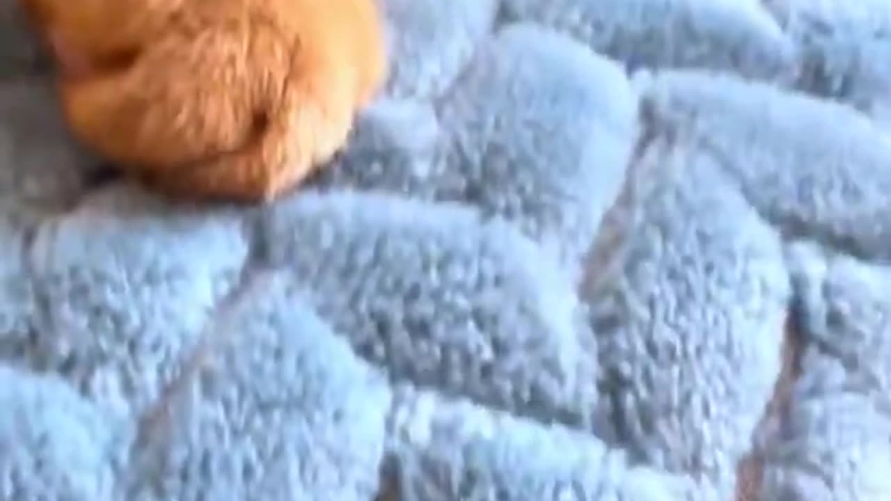Nobody Will Know