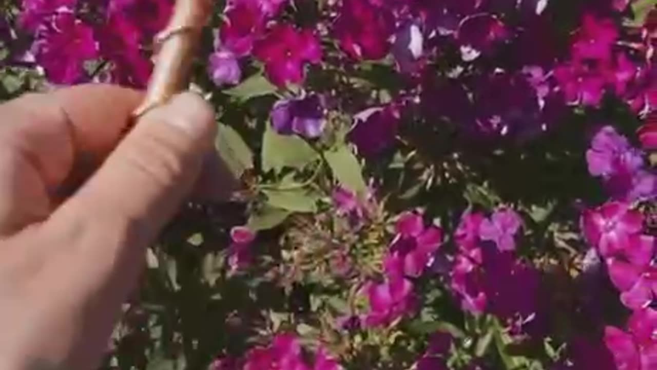 ELECTRIFY YOUR GARDEN