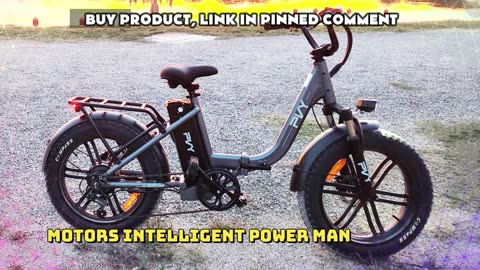 PVY LS20 Adult Electric Bike 250W Motor 48V 16.5AH Battery 20 Inch Fat Tire Ebike