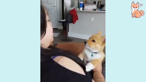 You will laugh at all the DOGS Funny DOG Videos😂🐶