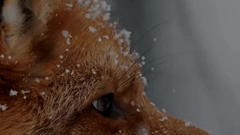 🎬 Когда ты начнёшь ценить то, что у тебя есть — жизнь изменится