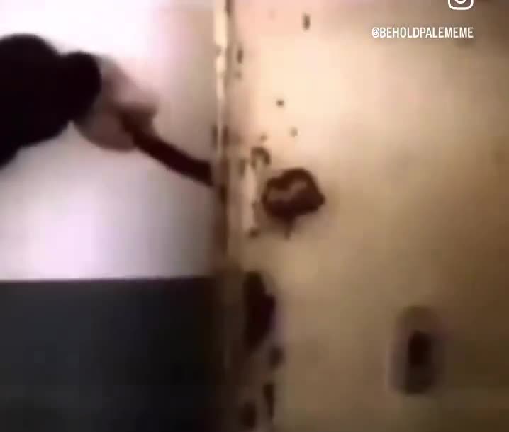 David Cole (who is jewish) explains his take on the gas chambers