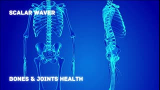 Bones & Joints Health +33X