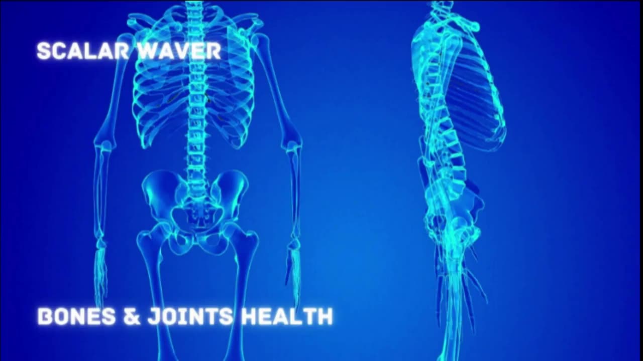 Bones & Joints Health +33X