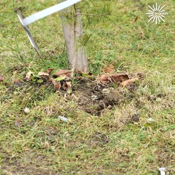 Handy tool hack for your garden.hd