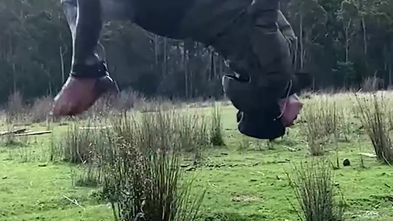 Real Life vs AI