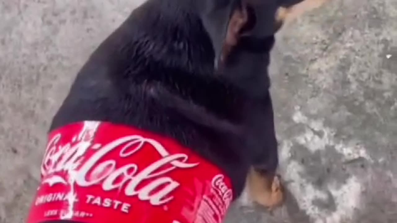Coco cola new packing