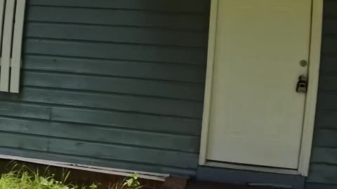 PM-Cast: Condo owner who forget appointment 📅, unique homes 🏡, and tenants about to move in 🚗
