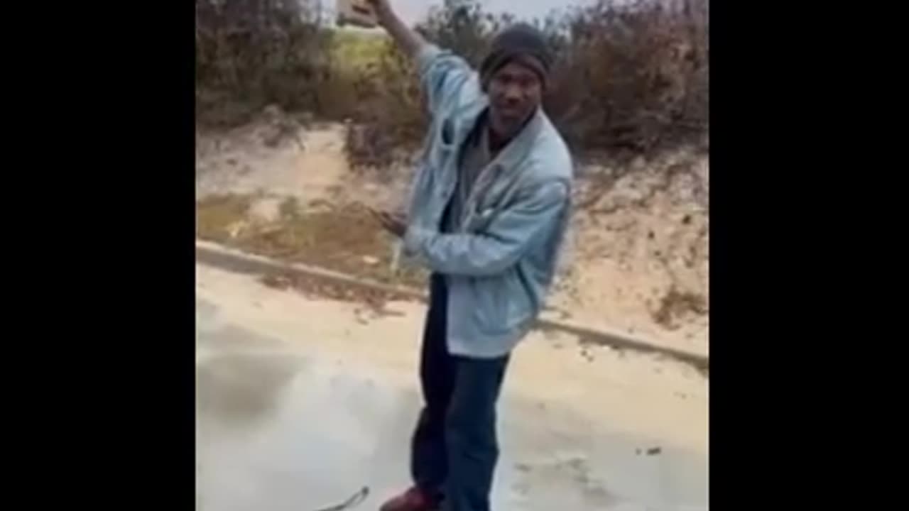 Black people fighting