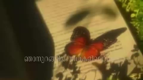 Kerala lullaby song