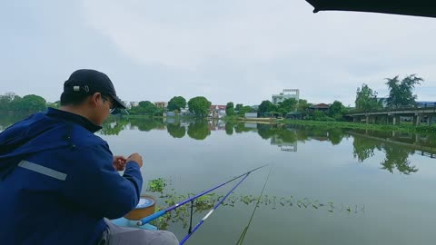 Perch Panorama A Lakes Beauty