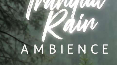 Peaceful Rain Ambience to Reduce Anxiety and Sleep Deeper 🌧️