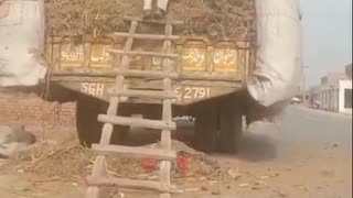 Pakistani farmers.