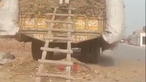 Pakistani farmers.