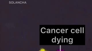 Frequency kills cancer?