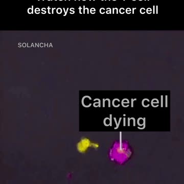 Frequency kills cancer?