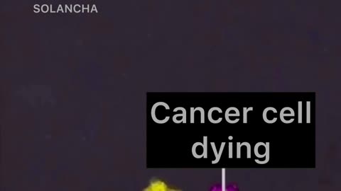 Frequency kills cancer?