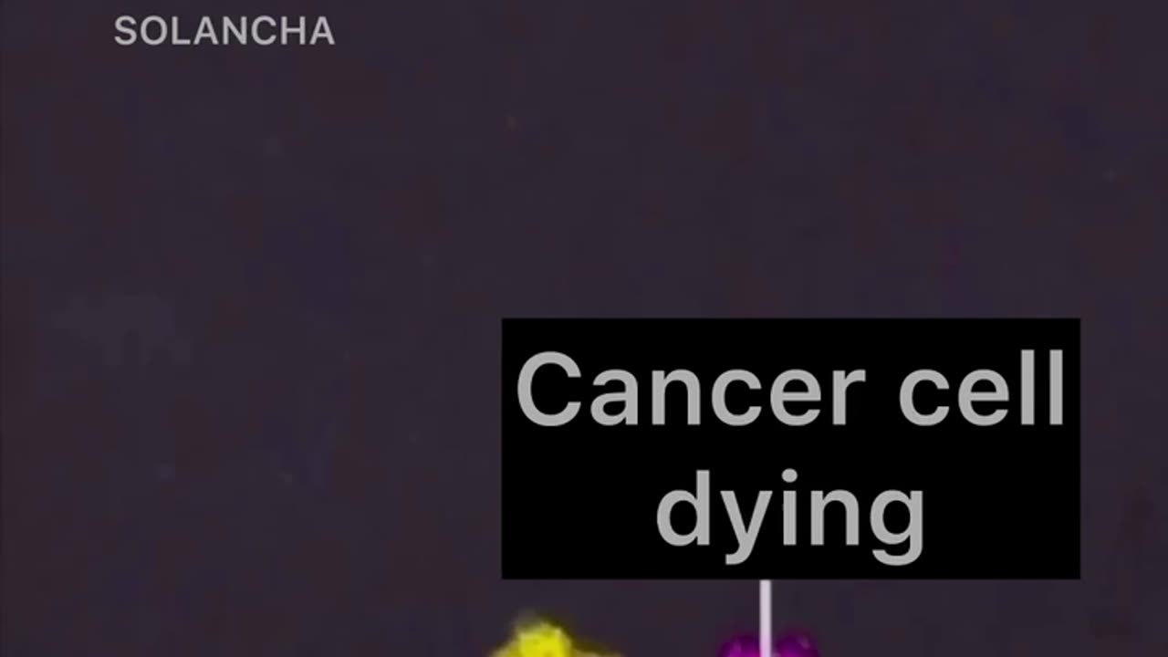 Frequency kills cancer?