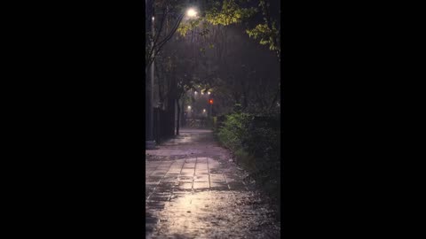 Lofi Dreams – nights made of quiet rhythm.