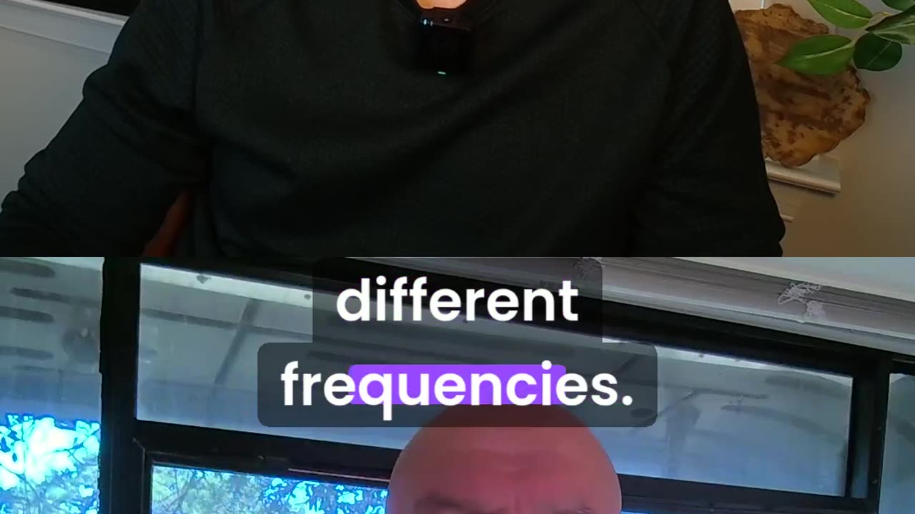 Frequency App Experience
