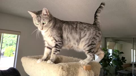 Boots - Jump