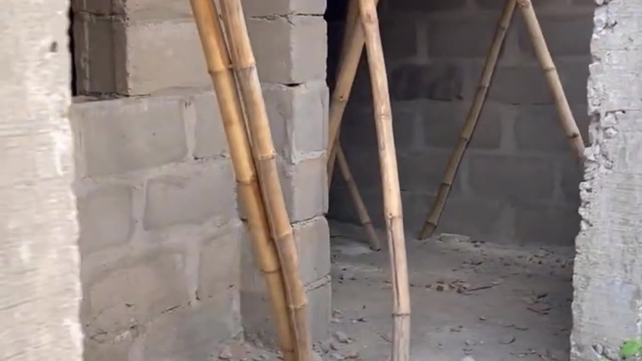 S . P AND THREE FEMALE STUDENTS