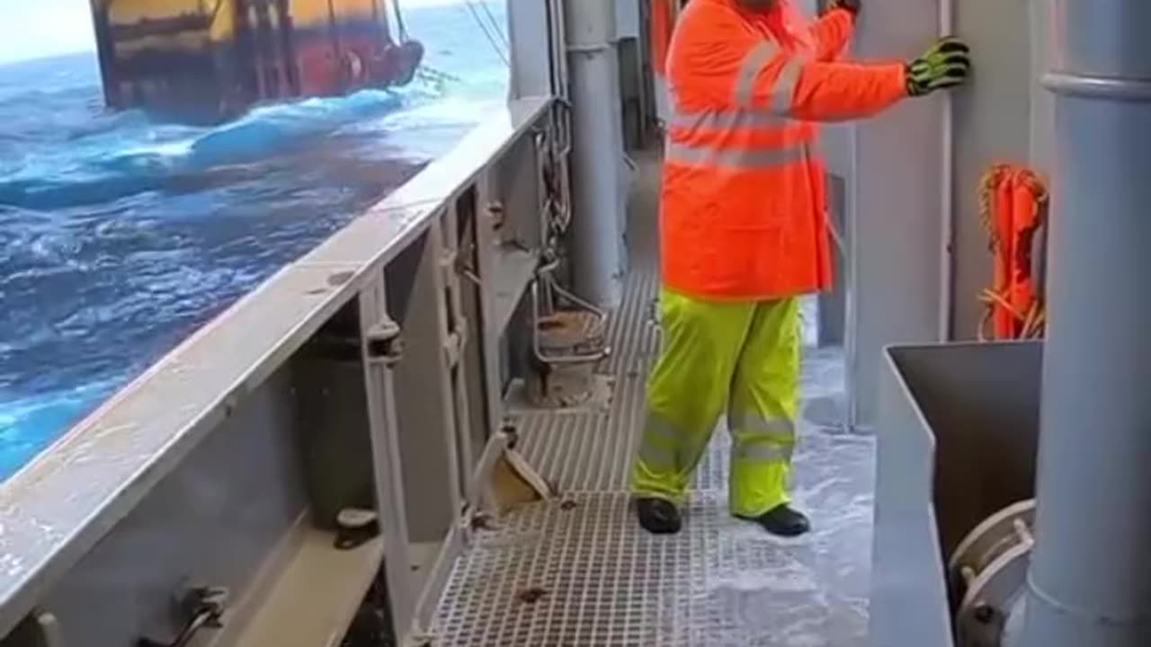 The sea life